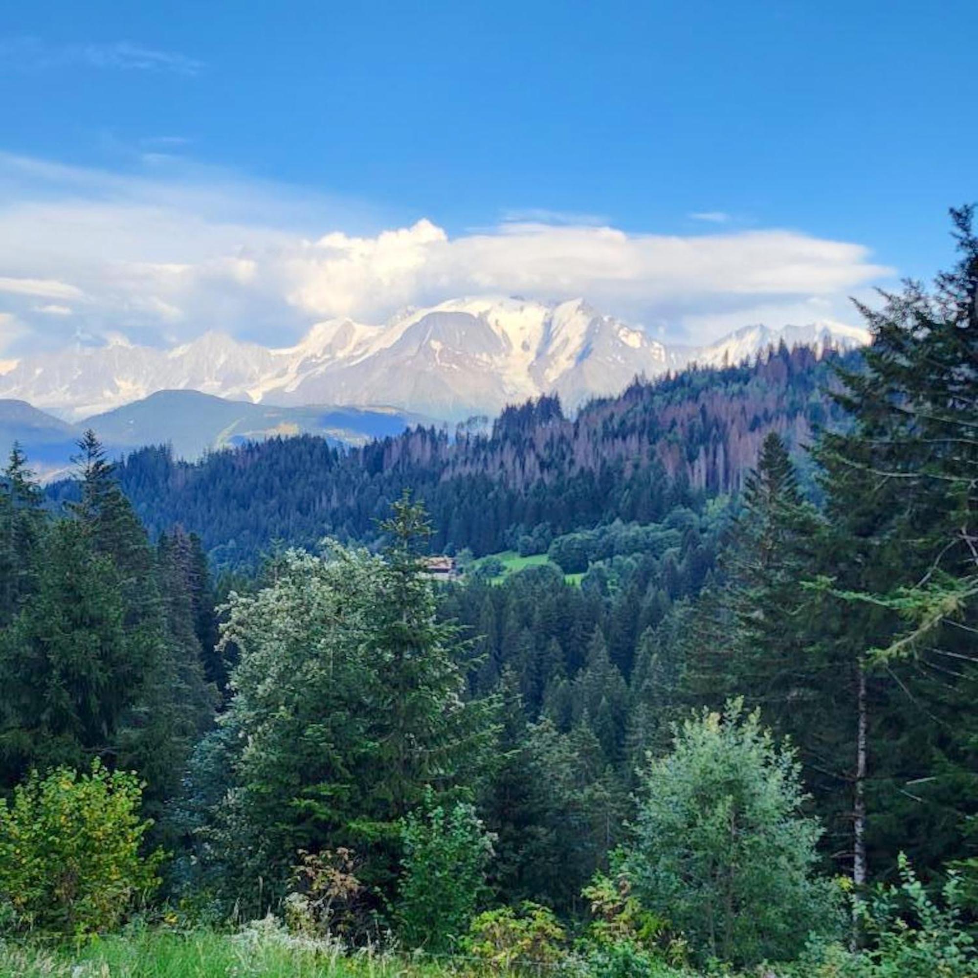 Studio Accueillant A Cordon Vue Mont Blanc 22 M² Parking Inclus Экстерьер фото